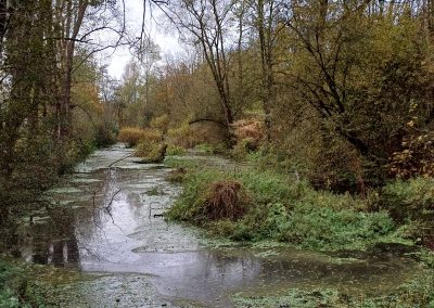 En campagne de Bouvines